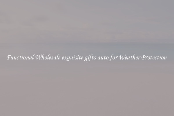 Functional Wholesale exquisite gifts auto for Weather Protection 