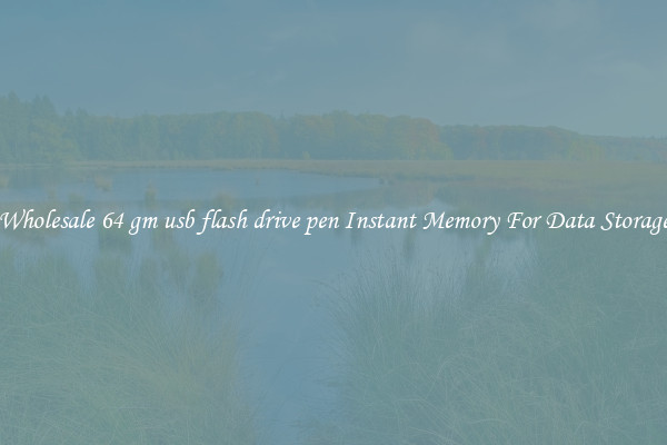 Wholesale 64 gm usb flash drive pen Instant Memory For Data Storage