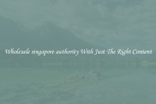 Wholesale singapore authority With Just The Right Content
