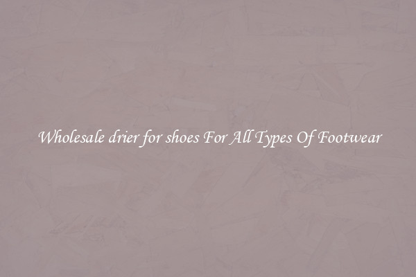 Wholesale drier for shoes For All Types Of Footwear