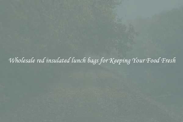 Wholesale red insulated lunch bags for Keeping Your Food Fresh