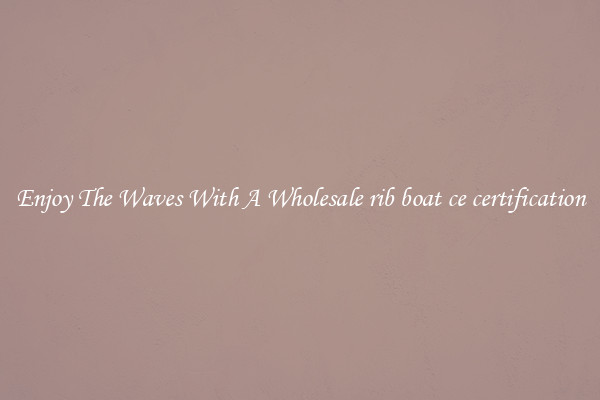 Enjoy The Waves With A Wholesale rib boat ce certification