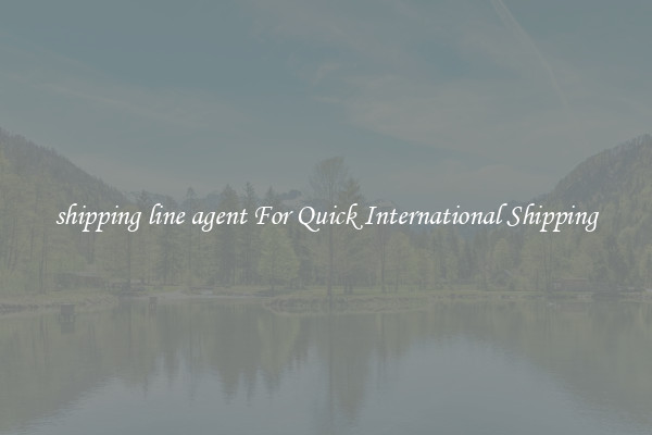 shipping line agent For Quick International Shipping