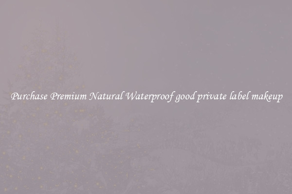 Purchase Premium Natural Waterproof good private label makeup
