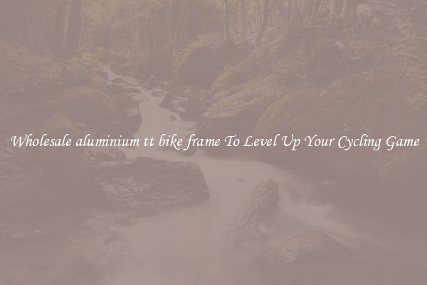 Wholesale aluminium tt bike frame To Level Up Your Cycling Game