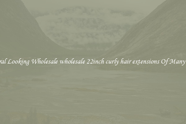 Natural Looking Wholesale wholesale 22inch curly hair extensions Of Many Types