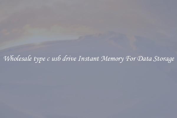Wholesale type c usb drive Instant Memory For Data Storage