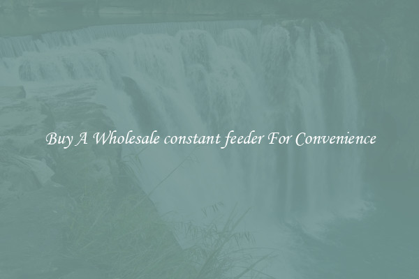 Buy A Wholesale constant feeder For Convenience