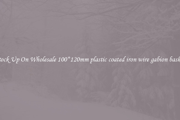 Stock Up On Wholesale 100*120mm plastic coated iron wire gabion basket