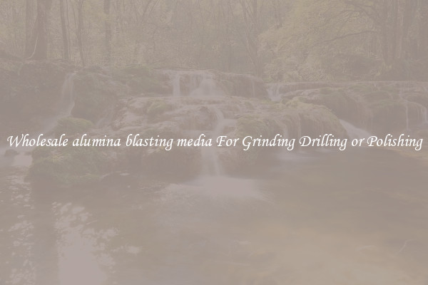 Wholesale alumina blasting media For Grinding Drilling or Polishing