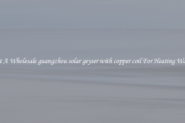 Get A Wholesale guangzhou solar geyser with copper coil For Heating Water